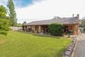 Property photo of 2191 Maroondah Highway Buxton VIC 3711