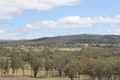 Property photo of 7 Bibil Close Nemingha NSW 2340