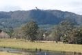 Property photo of 52 Stony Chute Road Nimbin NSW 2480