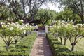 Property photo of 25 Dutton Terrace Medindie SA 5081