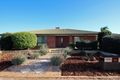 Property photo of 46 Korinthos Street Renmark SA 5341