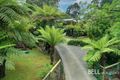 Property photo of 8 Poplar Crescent Emerald VIC 3782