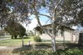 Property photo of 36 Camellia Crescent Norlane VIC 3214