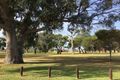 Property photo of 23 Barcelona Terrace Hocking WA 6065