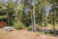 Property photo of 23 Lloyds Road Springbrook QLD 4213