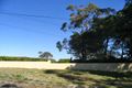 Property photo of 41 Minkara Road Bayview NSW 2104
