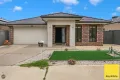 Property photo of 19 Bluegrass Street Tarneit VIC 3029