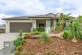 Property photo of 20 Major Mitchell Drive Upper Coomera QLD 4209