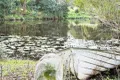 Property photo of 78 Tablelands Road Cooran QLD 4569