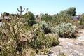 Property photo of 96 Todman Road Coonabidgee WA 6503