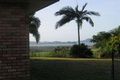 Property photo of 34 Danmaar Drive Habana QLD 4740