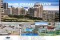 Property photo of 46/20 Cronin Avenue Main Beach QLD 4217