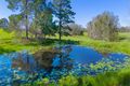 Property photo of 361 Saleyards Road Collombatti NSW 2440