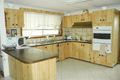 Property photo of 111 Marion Street Bankstown NSW 2200
