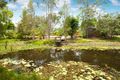 Property photo of 39 Mannikin Road Tanawha QLD 4556