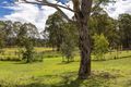Property photo of 1 Apanie Close Wingham NSW 2429