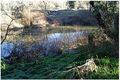 Property photo of 93 Bathurst Street Forbes NSW 2871