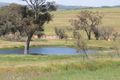 Property photo of 83 Bathampton Road Wimbledon NSW 2795