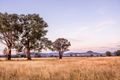 Property photo of 202 Broadhead Road Spring Flat NSW 2850
