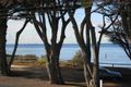 Property photo of 491 The Esplanade St Leonards VIC 3223