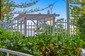 Property photo of 3/510 Marine Parade Biggera Waters QLD 4216