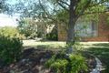 Property photo of 1 Derwent Avenue Tatton NSW 2650