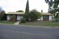 Property photo of 7 Ruston Street Renmark SA 5341