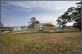 Property photo of 21 Quinane Avenue Forde ACT 2914