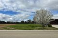 Property photo of 24 Armstrong Drive Barham NSW 2732