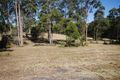 Property photo of 9 Snow Court Tamaree QLD 4570