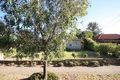Property photo of 19 Hamilton Avenue Warradale SA 5046