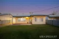 Property photo of 226 Beech Avenue Mildura VIC 3500