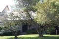 Property photo of 31 Morgan Street Islington NSW 2296