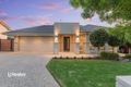 Property photo of 18 Caswell Circuit Mawson Lakes SA 5095