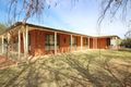Property photo of 44 Tarcoola Street Renmark SA 5341