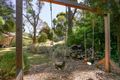 Property photo of 18 Steen Avenue Shoreham VIC 3916