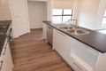 Property photo of 17 Byron Avenue Clovelly Park SA 5042