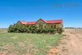 Property photo of 22 Racecourse Road Balaklava SA 5461