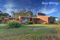 Property photo of 303 Splitters Creek Road Splitters Creek NSW 2640