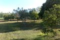 Property photo of 9-11 Calen Mount Charlton Road Calen QLD 4798