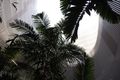 Property photo of 55/1 Marlin Parade Cairns City QLD 4870