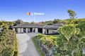Property photo of 10 Sundew Crescent Upper Coomera QLD 4209