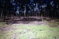 Property photo of 2-4 O'Dwyer Road Laidley South QLD 4341