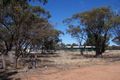 Property photo of 99 Unicorn Street Wagin WA 6315