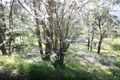 Property photo of 7 Forest View Lane Upper Ferntree Gully VIC 3156