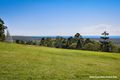 Property photo of 1680 Hinterland Way McLeods Shoot NSW 2479