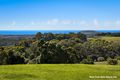 Property photo of 1680 Hinterland Way McLeods Shoot NSW 2479