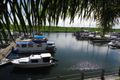 Property photo of John Lund Drive Hope Island QLD 4212