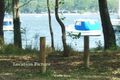 Property photo of 3 Rose Street Lemon Tree Passage NSW 2319