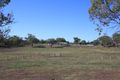 Property photo of 163 Jonel Park Road Allora QLD 4362